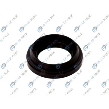 Garnitura ax cardanic/etansare