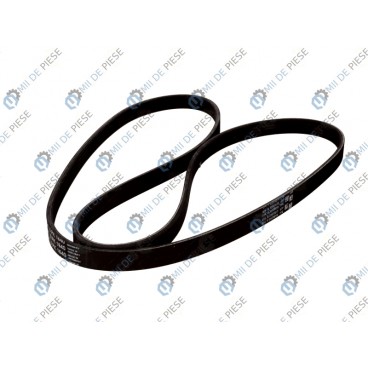 Curea transmisie canelata