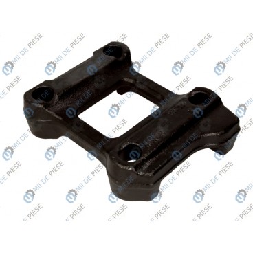 Leaf spring fixing plate