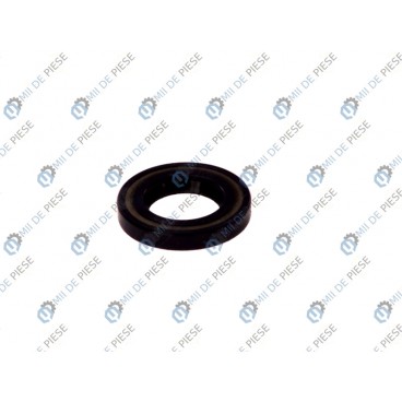 Simering ax cardanic