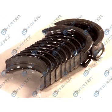 Cuzineti arbore cotit (set)