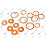 Set complet garnituri, motor