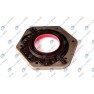 Set complet garnituri, motor