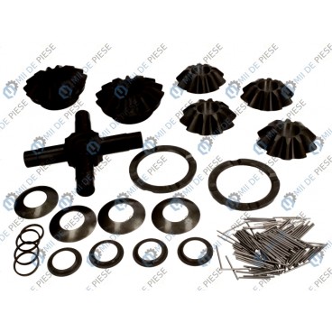 Kit reparatie axa spate