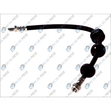 Furtun elastic frana