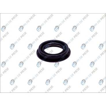 Garnitura diferential