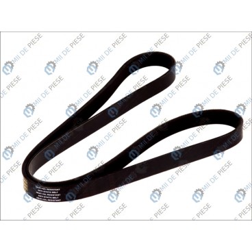 Curea transmisie canelata