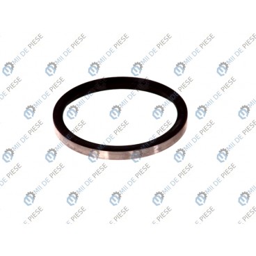 Etansare cutie viteze/element etansare