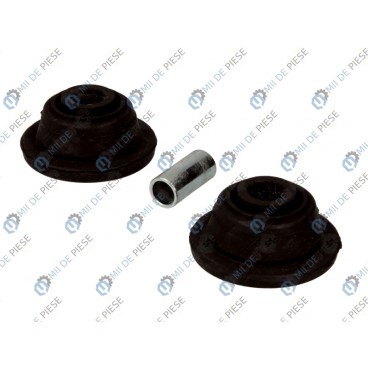 Amortizor suspensie Mc Pherson